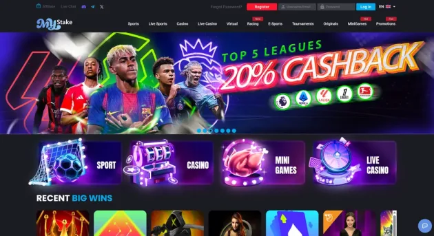 MyStake homepage