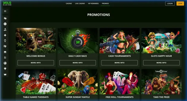 Wild Casino Promotions