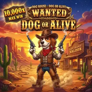 The Dog House - Dog or Alive